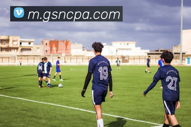 pa视讯平台生态图